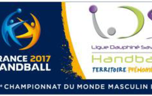 FRANCE HANDBALL 2017  