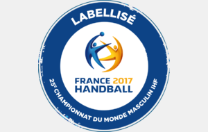 Labellisation du tournoi des écoles "Mondial 2017"
