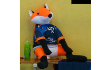 Nom de la Mascotte.