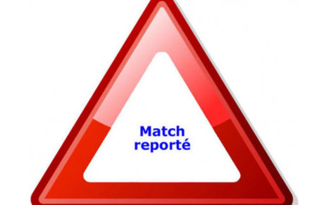 Reports