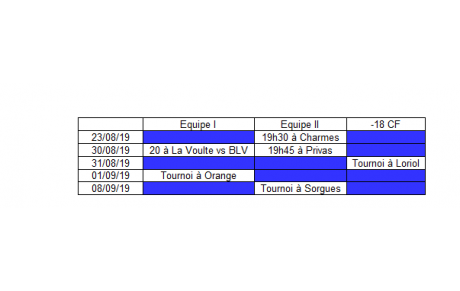 Matchs amicaux