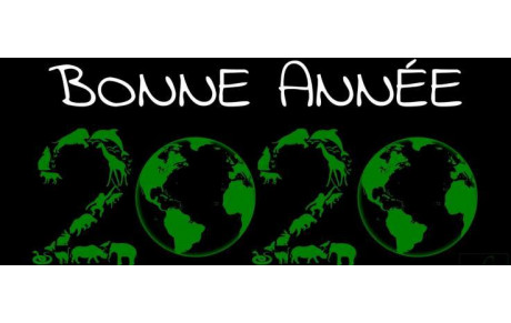Bonne année